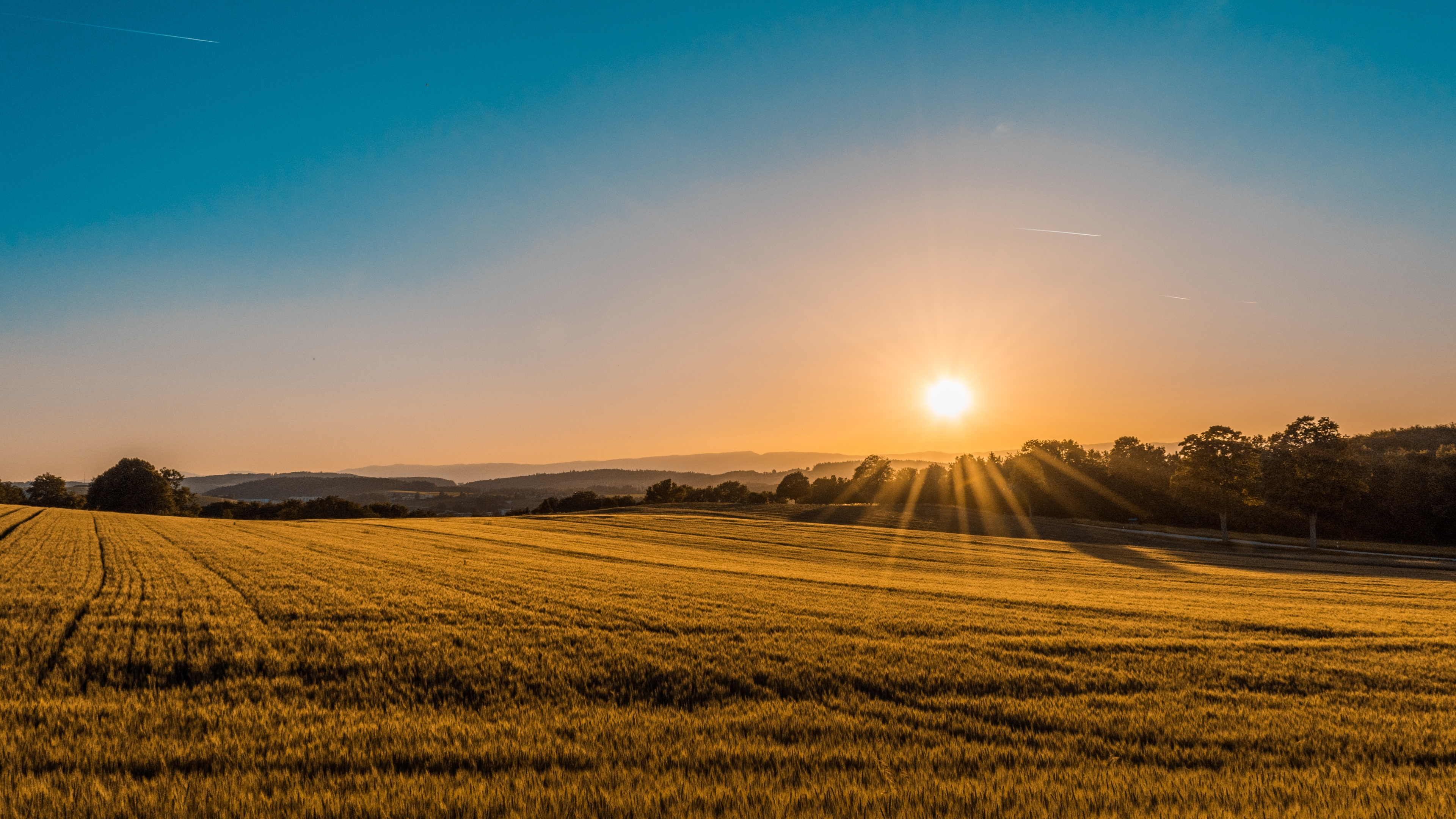 sunset over a hayfield