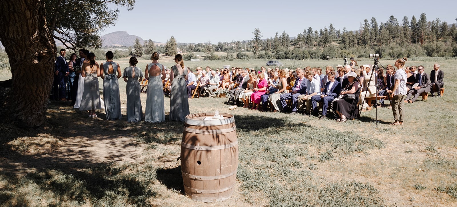 A wedding under a willow tree with rows of seating facing towards the couple