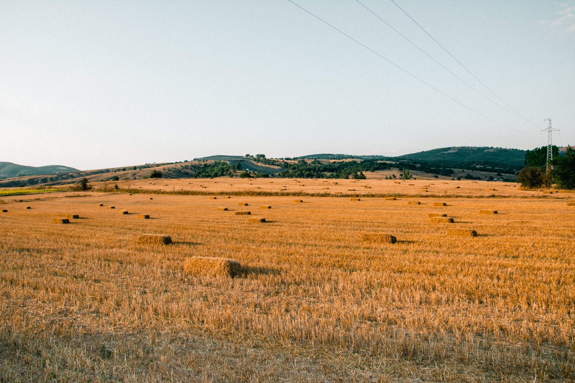 Hayfield with haybales, next to cornmaze